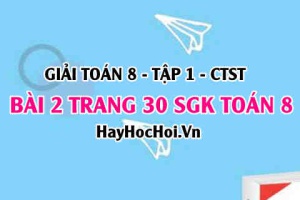 Giải bài 2 trang 30 Toán 8 Tập 1 SGK Chân trời sáng tạo
